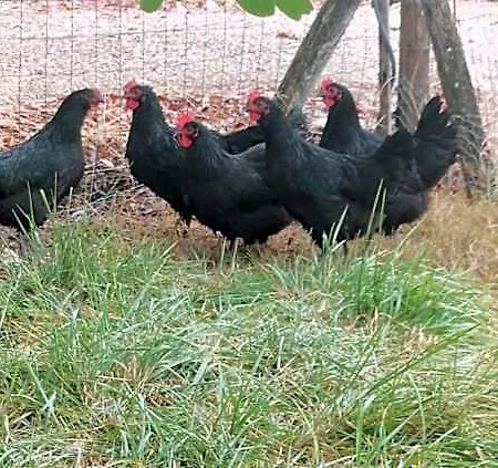 D'hôte La Source Domaine De Fonpeyroune Alojamento de Acomodação e Pequeno-almoço *
